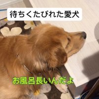 「まだ…？」