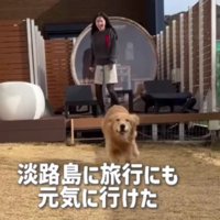 旅行に行けたことも