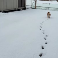 向かった先は…