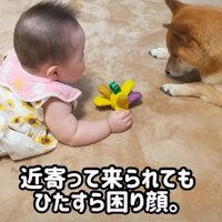 どうしていいか分からない…