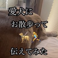 伏せている犬の背中
