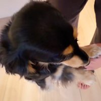 紬ちゃんのおねだり4