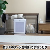 ポテチくんとレモンさんの再会5