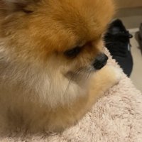 健気に待ち続ける姿が愛おしい