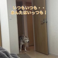 「いつもいつも！！」