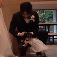 紬ちゃん、お疲れさま