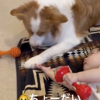 手を伸ばす赤ちゃん