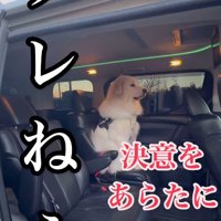 「そんなんじゃ釣れねえ」