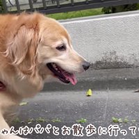 ちょっぴり寂しくなってきた？