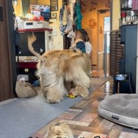 大型犬を受け止める長女