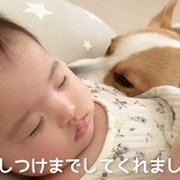 むぎ君のおかげで寝てくれました♪