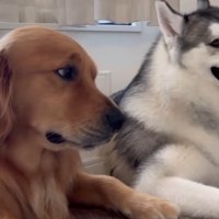 「もしかして…」