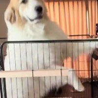 山大ちゃんはおばあちゃんが大好き