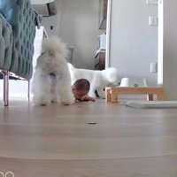 「ママに教えに行ってくる！」