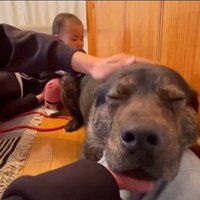 家族みんなでナデナデ…