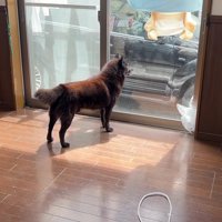 「もう行っちゃった？」