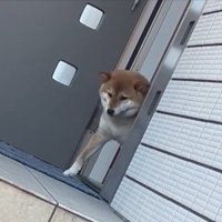 葛藤