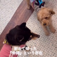 初めてできた「友達」