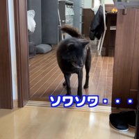 赤ちゃんが心配で仕方ない