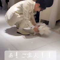 抱っこされる犬