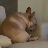 愛あふれる一幕でした