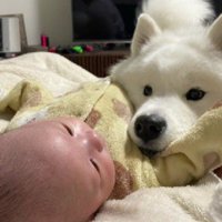 甲斐甲斐しくお世話