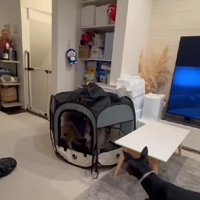 状況が全く理解できない