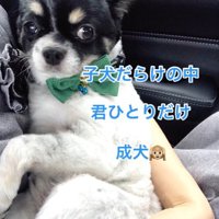 ちーちゃんとの出会い3