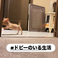 毎日が賑やかです