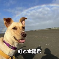 太陽くんも幸せそう！