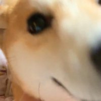 愛情表現が激しい！