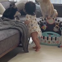 仲良しの三人