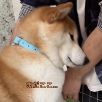 絶対に降りないという強い意志
