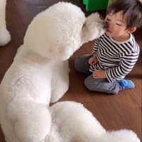 男の子の誕生日