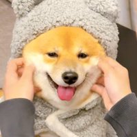 どんな表情も可愛らしい！
