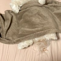 くしゃみの音に驚いて…