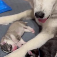 微笑ましい光景にホッコリ