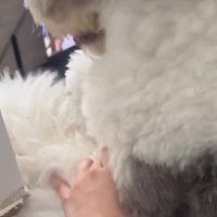 なぜか余裕たっぷり
