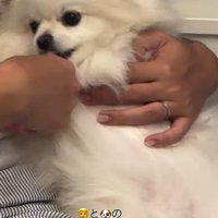 大切なルーティンです