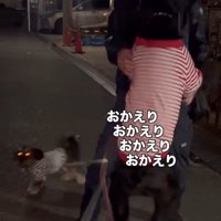 男性と会えて嬉しそうにはしゃぐ2頭の犬