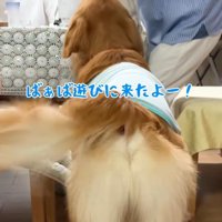 おばあちゃんにご挨拶♪