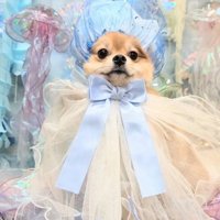 どう変わったのかわからない！！