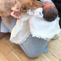 赤ちゃんとワンコ2匹の初対面5