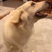見ているだけで癒される♡