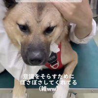 うーらんくん、おててはギュッ