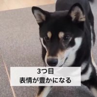 感情表現豊かに♡