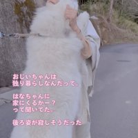「おじいちゃんー！」