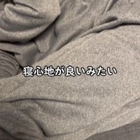 ソファに横たわる人