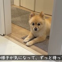 見守ってくれています