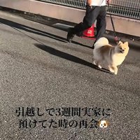 笑顔のサニーくん